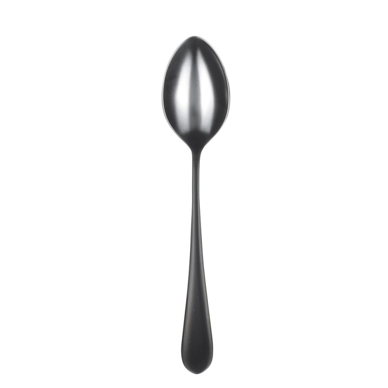 Epsilon matt black ложка столовая 21 см Narin