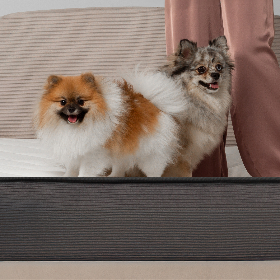 Матрас Livorno