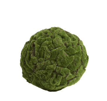 Шар из мха д-40 см (Арт-объект) 1/1