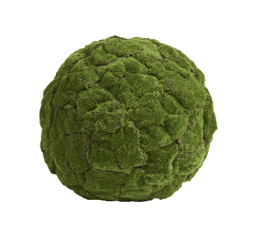 Шар большой из мха д-55 см (Арт-объект) 1/1