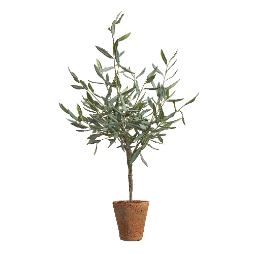 Олива Элегант (серия Prime) в керамическом кашпо в-85 см 1/1