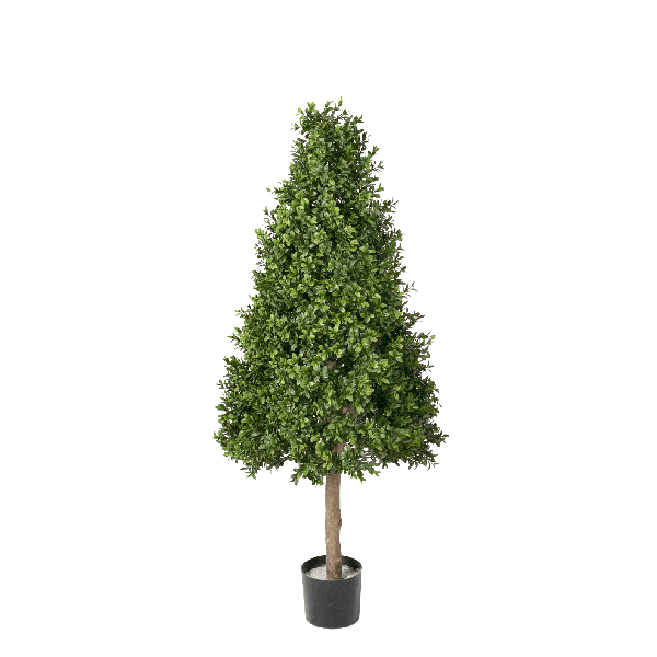 Самшит Тауэр уличный новый в-105 см 2/2