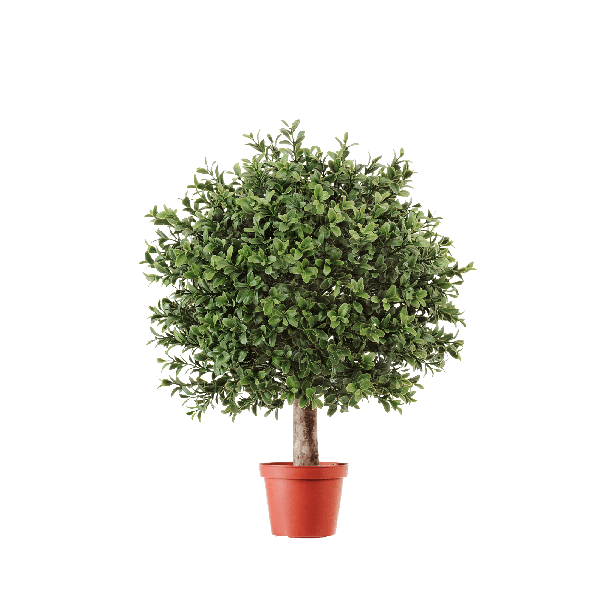 Самшит Шар уличный новый в-40, д-30 см 6/12