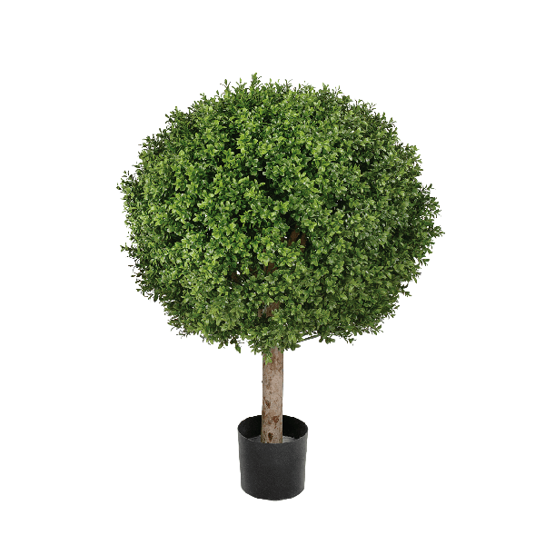 Самшит Шар уличный новый в-65, д-50х40 см 2/2