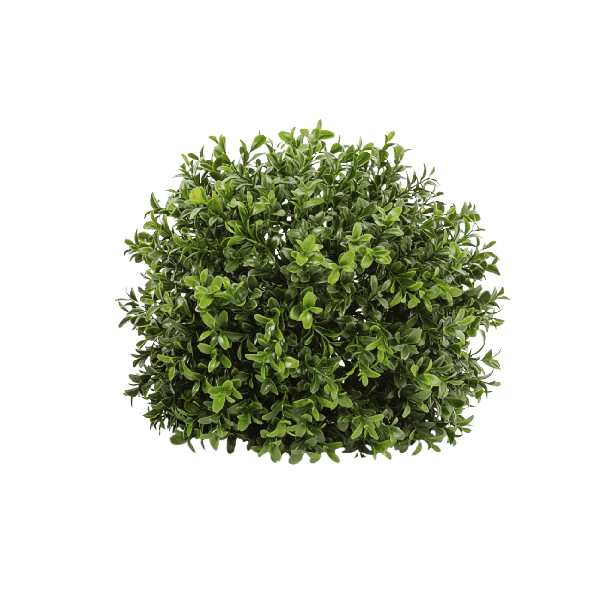 Самшитовый шар (Декор)