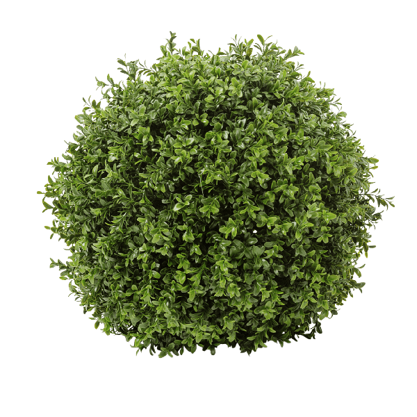 Самшитовый шар (Декор)