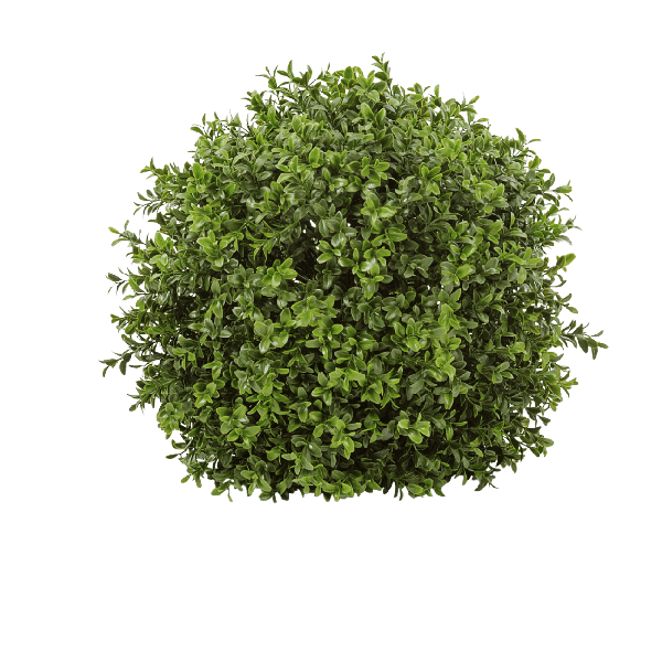 Самшитовый шар (Декор)