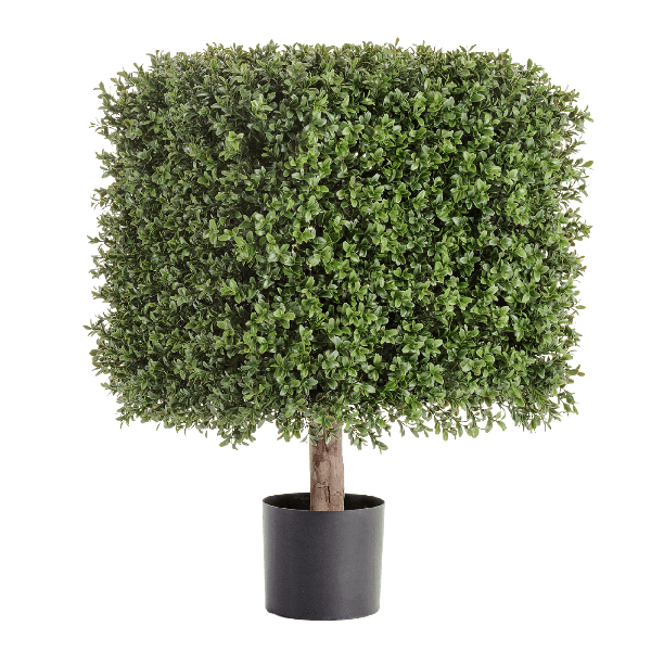 Самшит квадрат уличный новый на каркасе в-72 см, 48х48 см 1/1