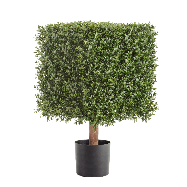 Самшит квадрат уличный новый на каркасе в-72 см, 48х48 см 1/1