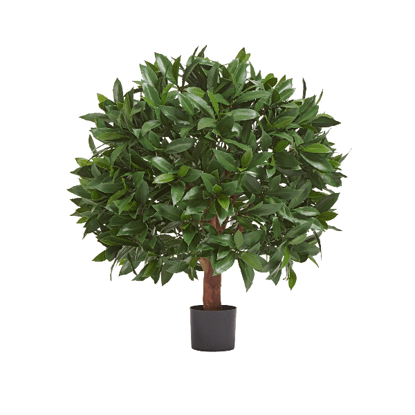 Лавр круглый с UV-фильтром уличный д-65х55 см, в-70 см 2/2