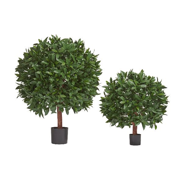 Лавр круглый с UV-фильтром уличный д-65х55 см, в-70 см 2/2