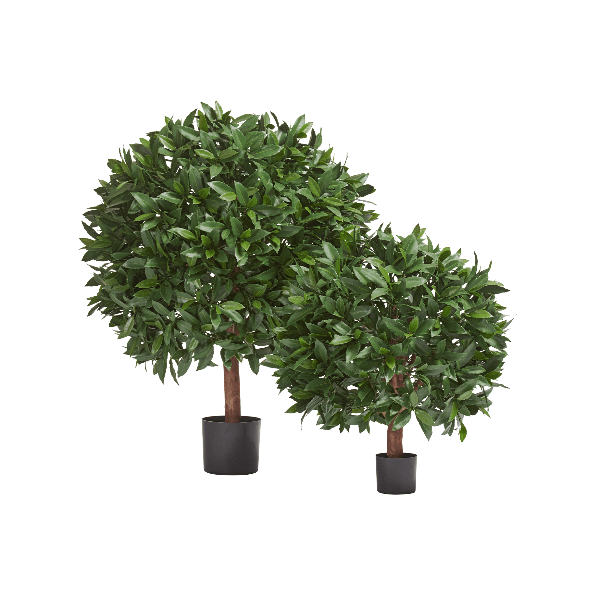 Лавр круглый с UV-фильтром уличный д-65х55 см, в-70 см 2/2