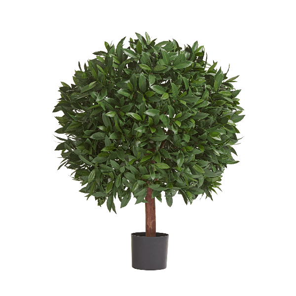 Лавр круглый с UV-фильтром уличный д-80х65 см, в-105 см 2/2