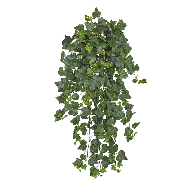 Английский плющ куст зелёный в-75 см, ш-40 см (серия FR - огнезащитный) 6/24