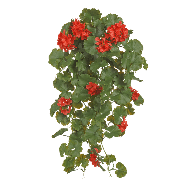 Герань красная ампельная куст (пластик с UV-фильтром) в-58 см, ш-30 см 6/24